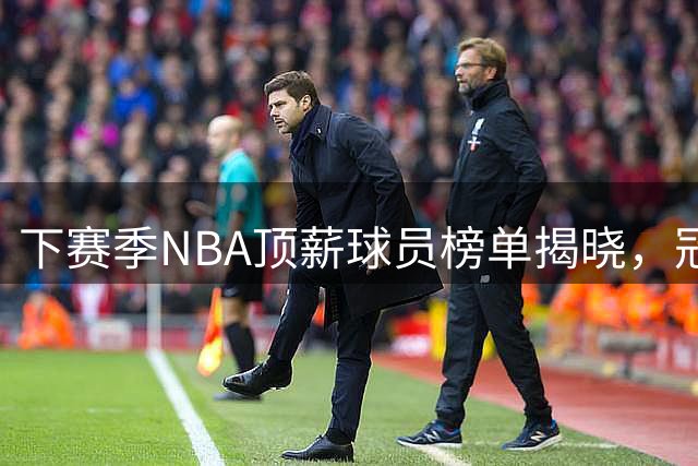下赛季NBA顶薪球员榜单揭晓，冠军核心位列前五